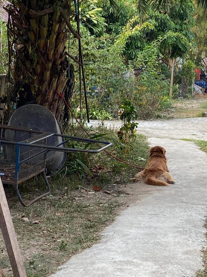 Jj&J Garden Pansiyon Pai Dış mekan fotoğraf